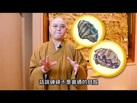 金絲硨磲功效